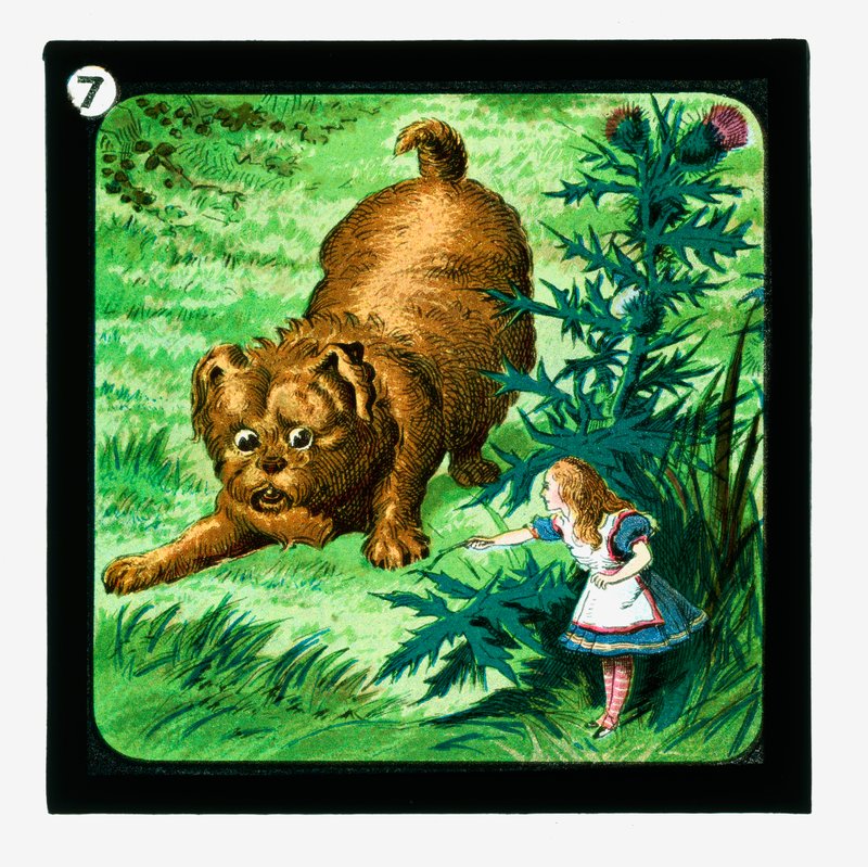 Alicja w Krainie Czarów, kolorowe slajdy z latarnią (zjeżdżalnia z latarnią) autorstwa John (after) Tenniel