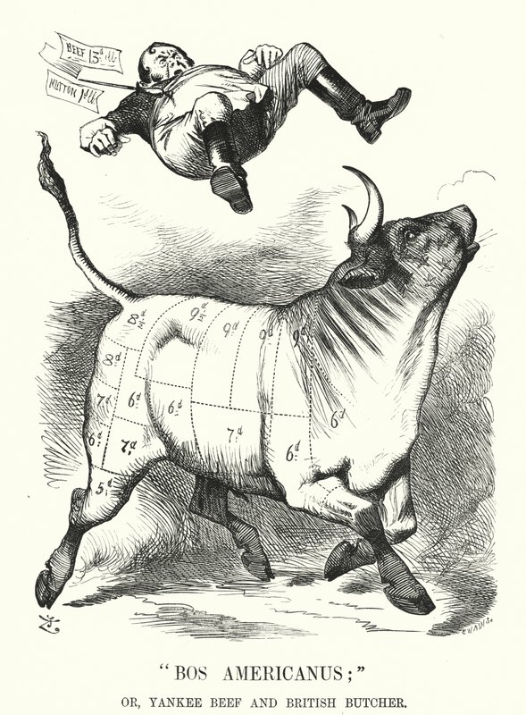 Karykatura ponczowa: Bos Americanus; czyli Yankee Beef and British Butcher – oczekiwane korzyści dla konsumentów z importu amerykańskiego mięsa (grawerowanie) autorstwa John (after) Tenniel