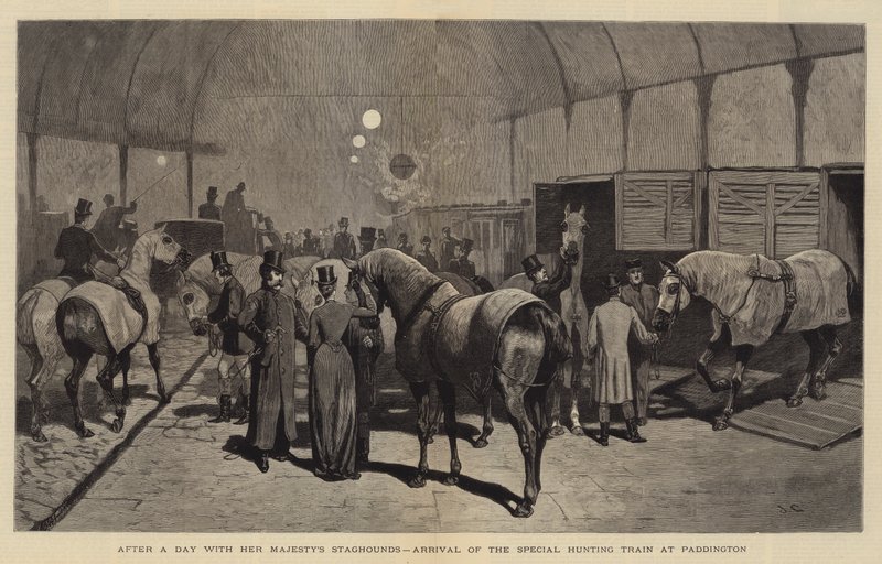 Po dniu spędzonym z Staghoundami Jej Królewskiej Mości, przyjazd specjalnego pociągu myśliwskiego do Paddington autorstwa John Charles Dollman