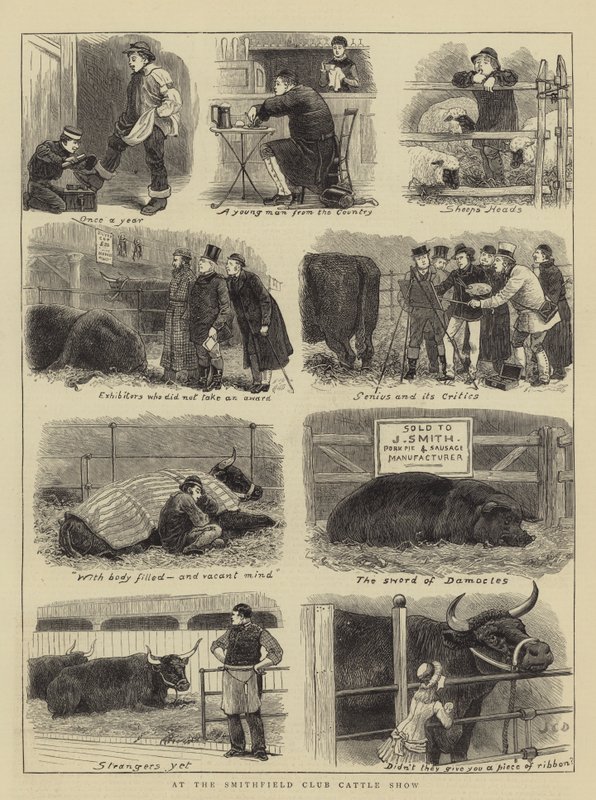 Na wystawie bydła w klubie Smithfield autorstwa John Charles Dollman