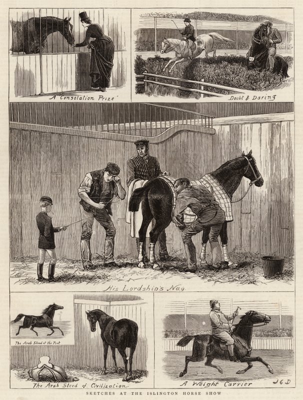 Szkice na Islington Horse Show autorstwa John Charles Dollman
