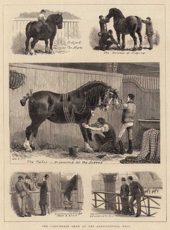 Pokaz wozów konnych w hali rolniczej autorstwa John Charles Dollman