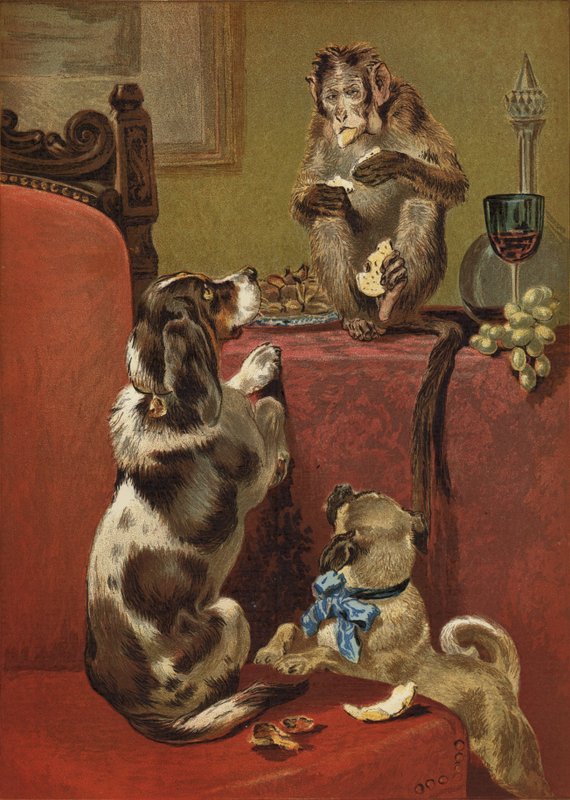 Chciwa Małpa autorstwa John Charles Dollman