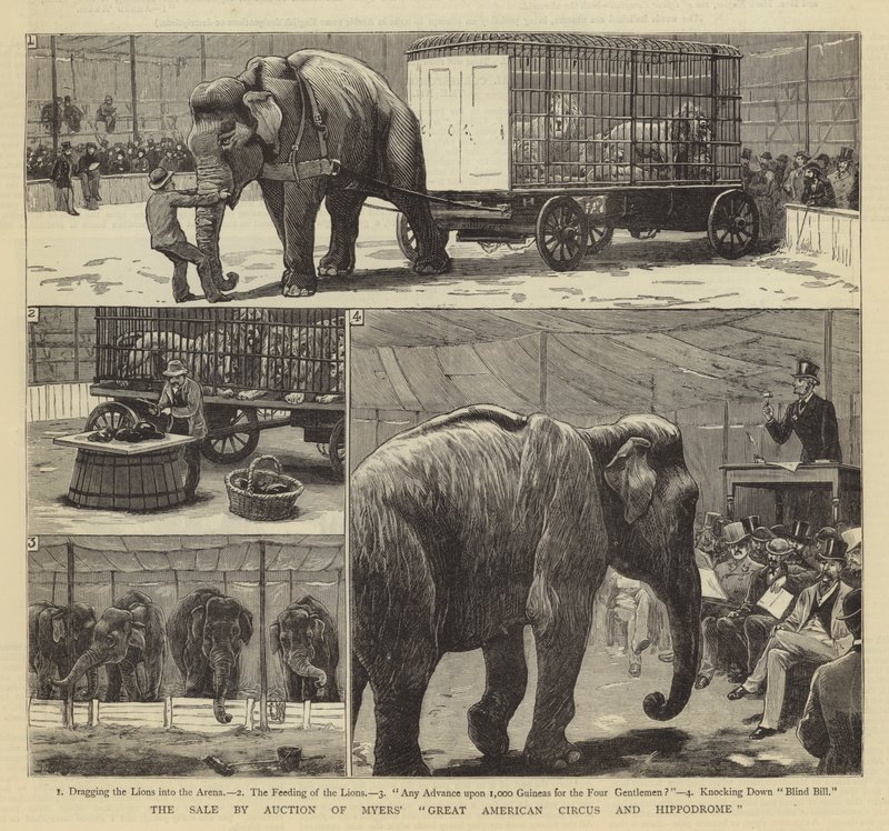 Wyprzedaż na aukcji wielkiego amerykańskiego cyrku i hipodromu Myersa autorstwa John Charles Dollman