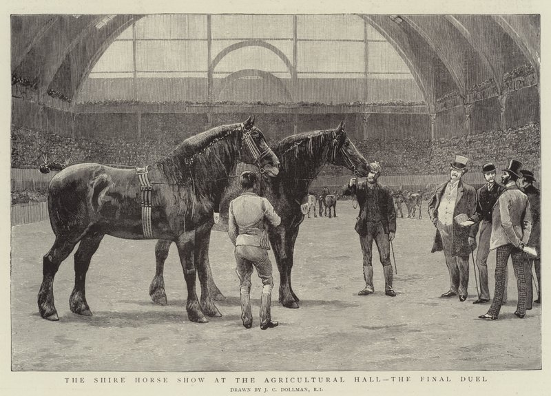 Shire Horse Show w Hali Rolniczej, finałowy pojedynek autorstwa John Charles Dollman