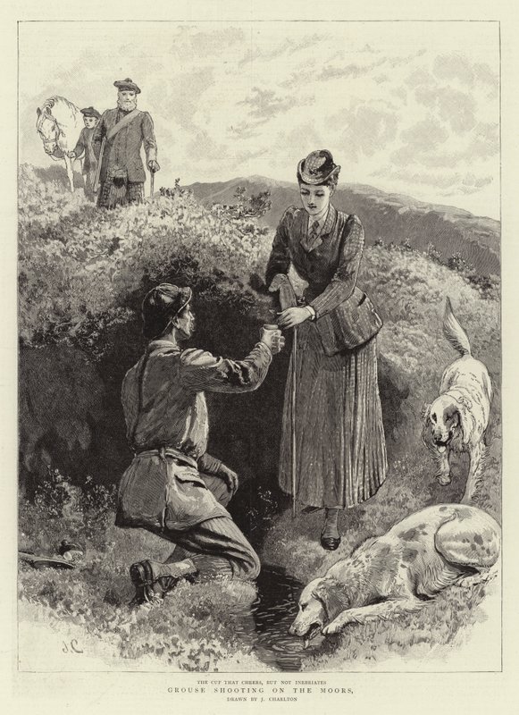 Strzelanie cietrzewia na Maurach autorstwa John Charlton