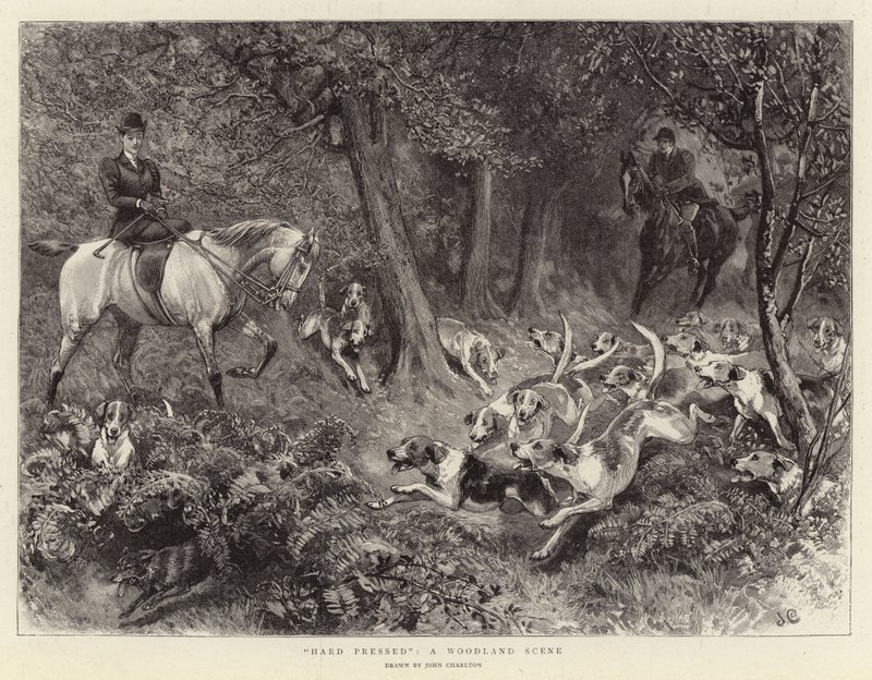Mocno wciśnięty, scena leśna autorstwa John Charlton