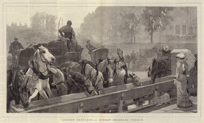 London Sketches, uliczne koryto do picia autorstwa John Charlton