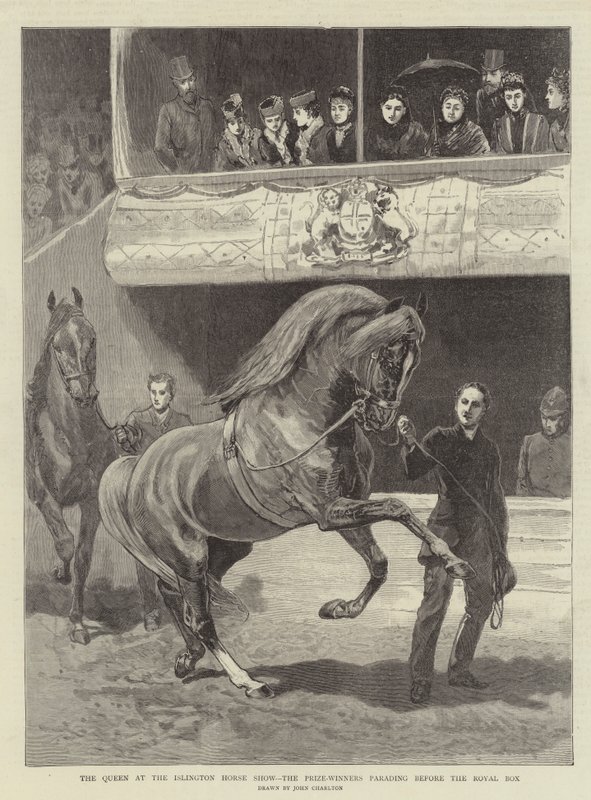 Królowa na Islington Horse Show, zwycięzcy paradują przed Royal Box autorstwa John Charlton