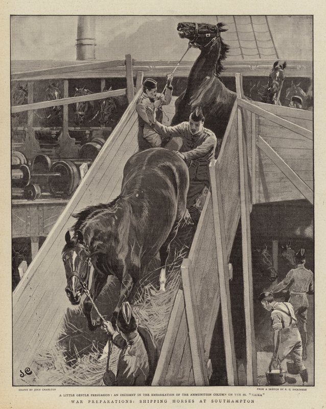 Przygotowania do wojny, transport koni w Southampton autorstwa John Charlton