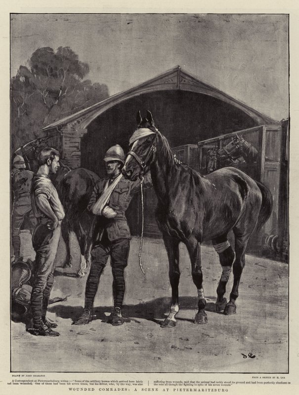 Ranni towarzysze, scena w Pietermaritzburgu autorstwa John Charlton
