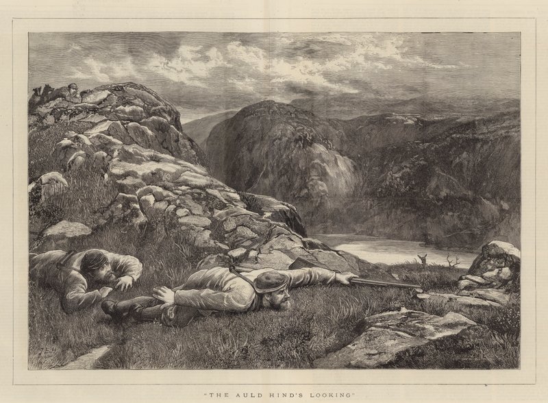 Auld Hind patrzy autorstwa John Evan Hodgson