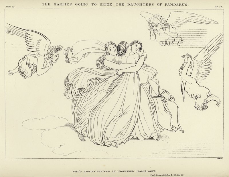 Harpie zamierzają pojmać Córy Pandarusa autorstwa John Flaxman