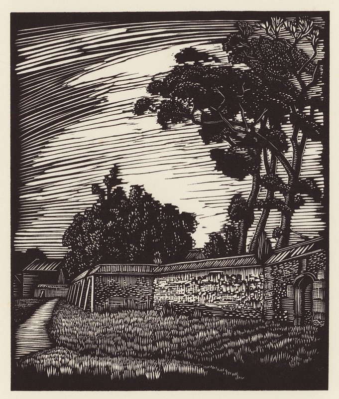 Cambridge: Peterhouse Wall, Coe Fen (drzeworyt) autorstwa John Frederick Greenwood