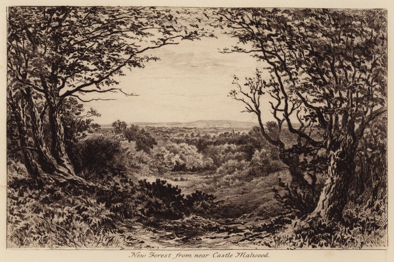 New Forest z okolic Castle Malwood (grawerunek) autorstwa John Fullwood