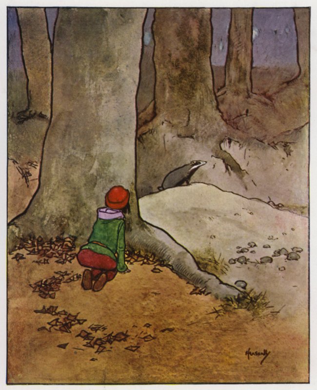 Borsuk (kolor lito) autorstwa John Hassall