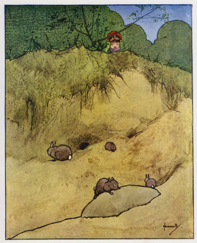 Królik (kolor lito) autorstwa John Hassall