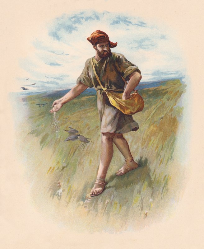 Siewca (kolorowa litografia) autorstwa John Lawson