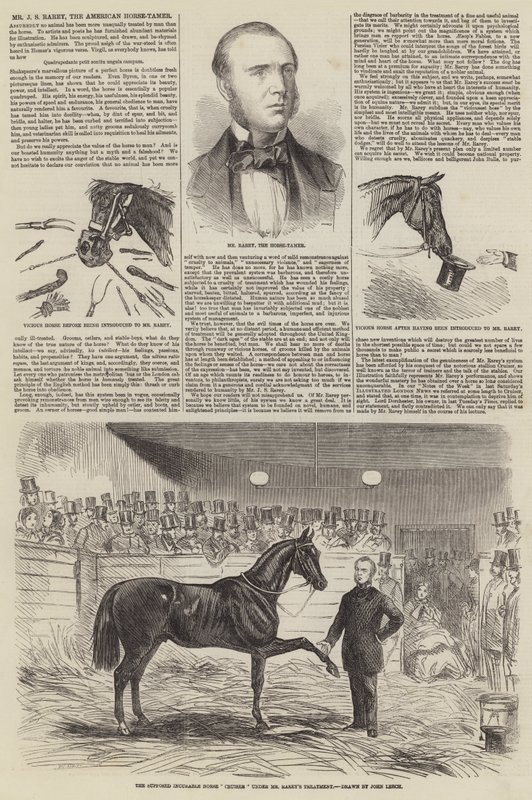 Pan JS Rarey, amerykański poskramiacz koni autorstwa John Leech