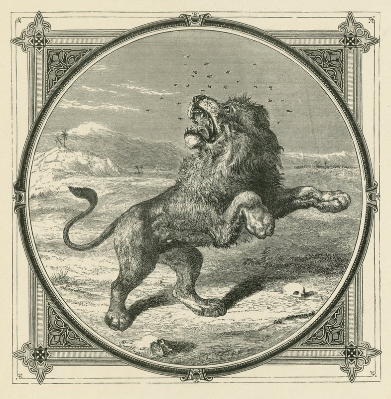 Komar kłuje oczy Lwa (rycina) autorstwa John Leighton