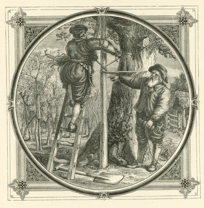 Gałęzie mogą być trenowane, ale nie pień (grawerowanie) autorstwa John Leighton