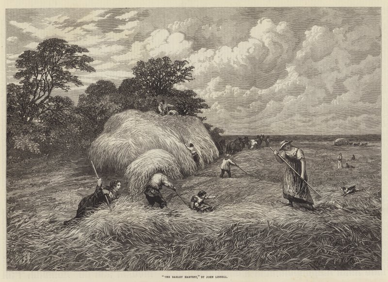 Żniwa jęczmienia autorstwa John Linnell