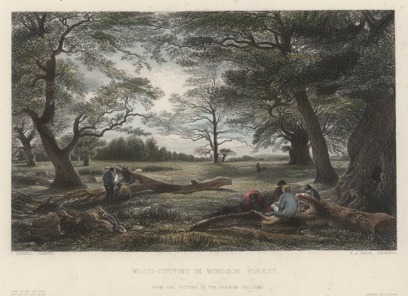 Wycinanie drewna w lesie Windsor (kolorowe grawerowanie) autorstwa John Linnell