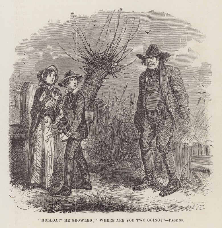 Ilustracja do wielkich oczekiwań autorstwa John McLenan