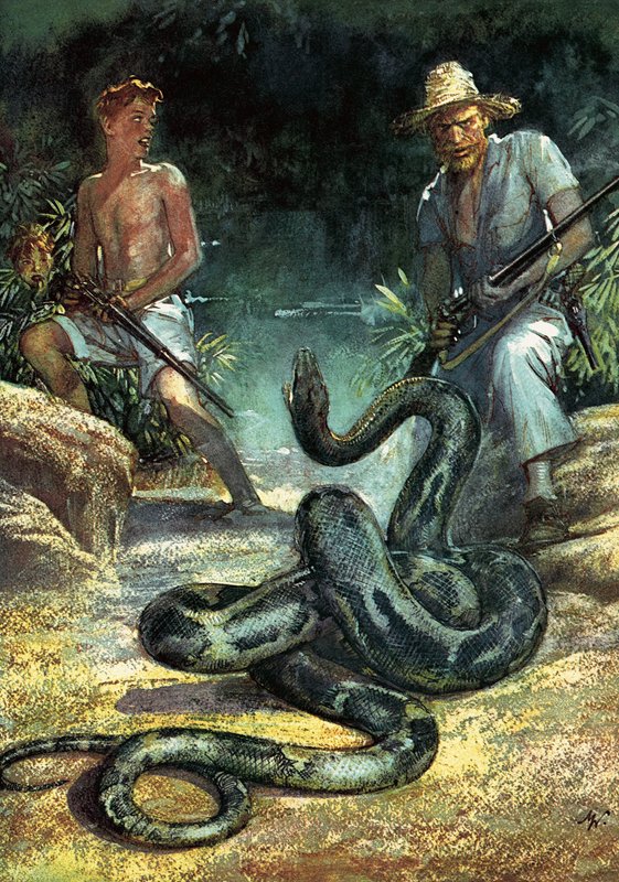 Szwajcarska rodzina Robinsonów autorstwa John Millar Watt
