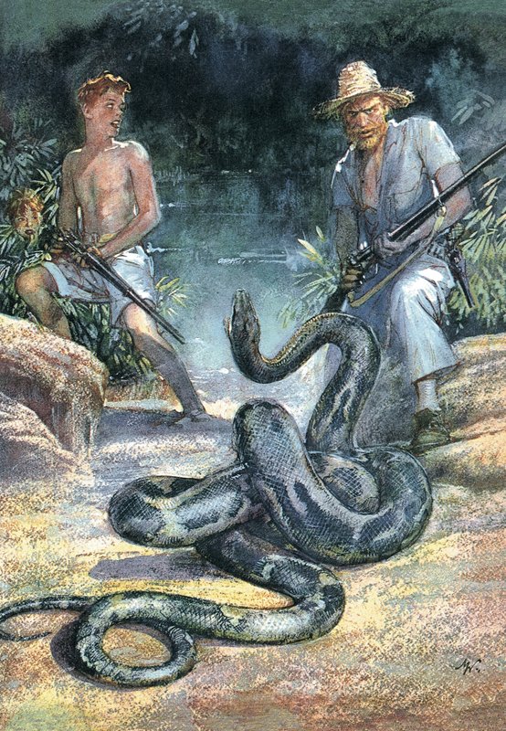 Szwajcarska rodzina Robinsonów autorstwa John Millar Watt