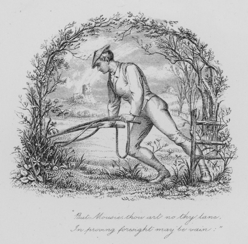 Robert Burns: Do myszy (rycina) autorstwa John Moyr (attr.to) Smith