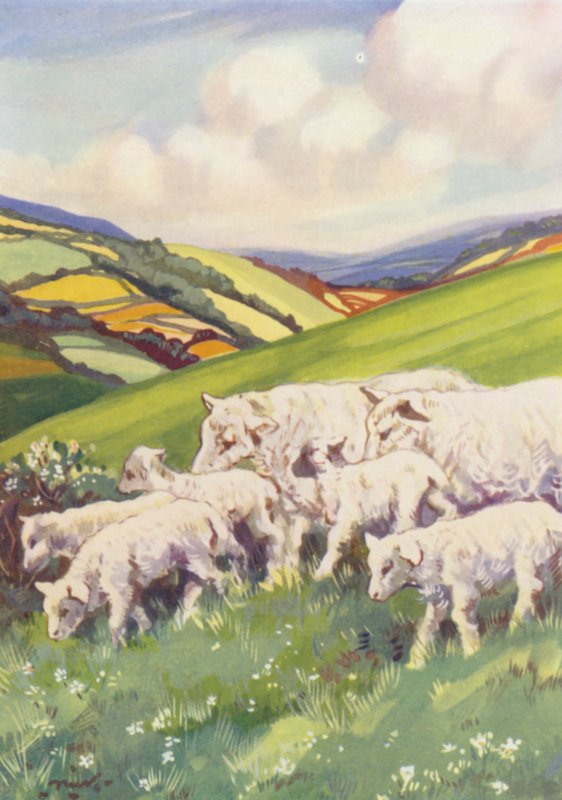 Ilustracja dla Beautiful Joe autorstwa Marshalla Saundersa (kolorowa litografia) autorstwa John Nicholson