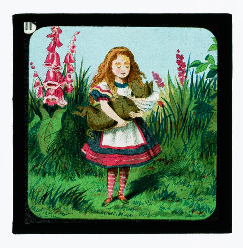 Alicja w Krainie Czarów, kolorowe slajdy w latarnie autorstwa John Tenniel