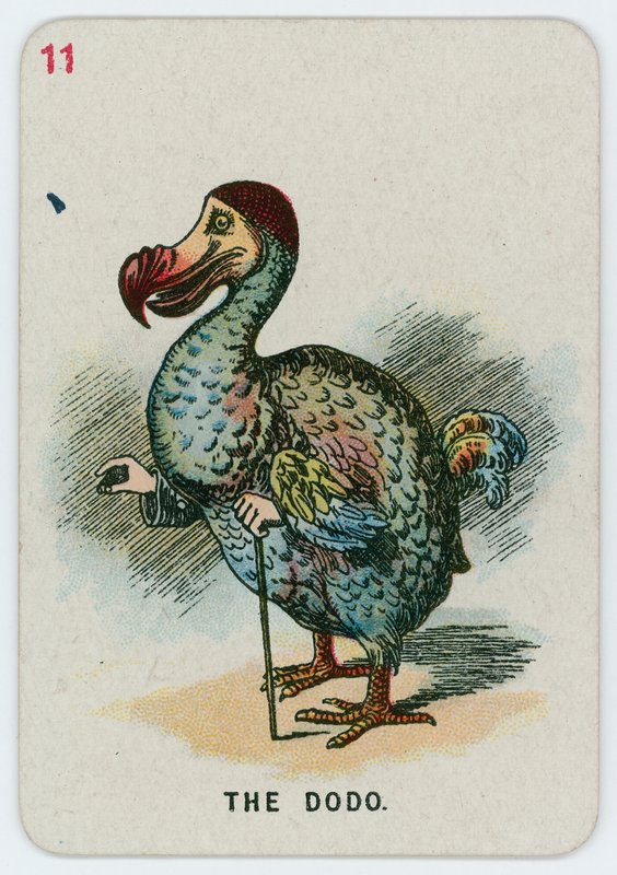 The Dodo autorstwa John Tenniel