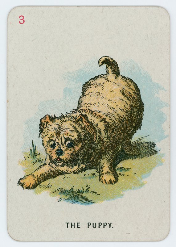 Szczeniak autorstwa John Tenniel