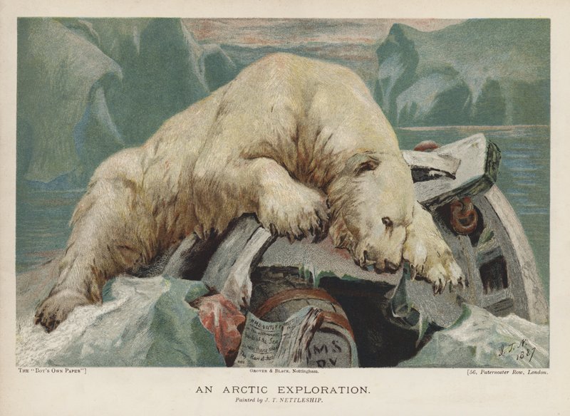 Eksploracja Arktyki: niedźwiedź polarny badający przedmioty z wyprawy arktycznej (chromolitho) autorstwa John Trivett Nettleship