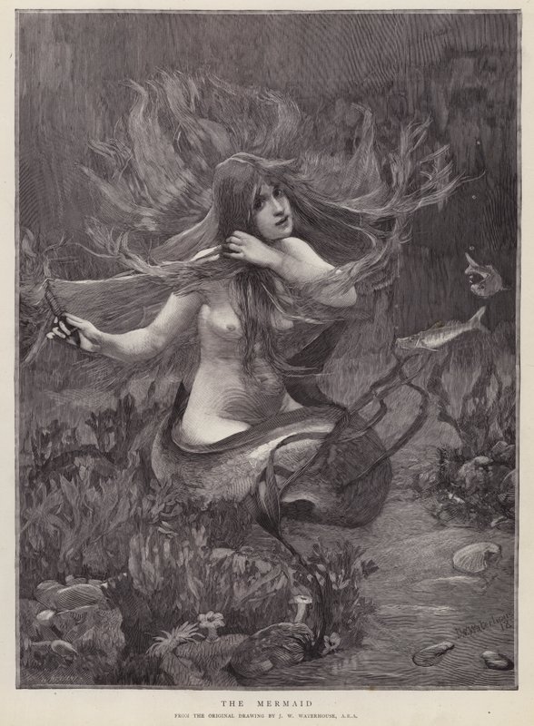 Syrenka (lito) autorstwa John William (after) Waterhouse