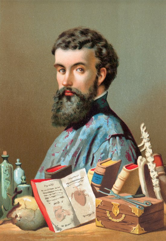 Andreas Vesalius autorstwa Jose Armet Portanell