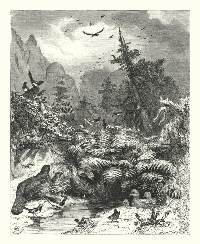 Poszukiwanie Boga (rycina) autorstwa Joseph (after) Wolf