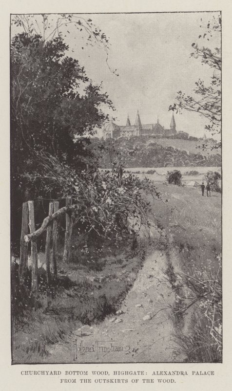 Churchyard Bottom Wood, Highgate, Alexandra Palace z obrzeży lasu autorstwa Joseph Holland Tringham