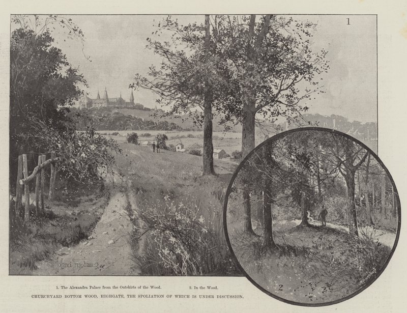 Churchyard Bottom Wood, Highgate, którego splądrowanie jest przedmiotem dyskusji autorstwa Joseph Holland Tringham