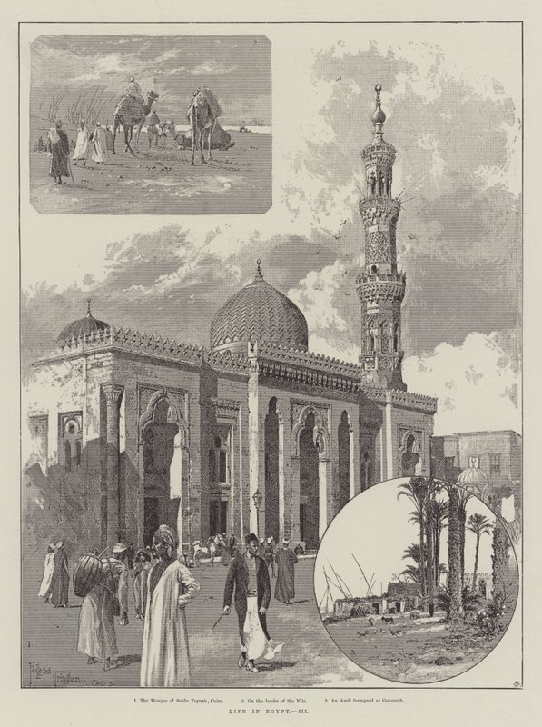 Życie w Egipcie autorstwa Joseph Holland Tringham