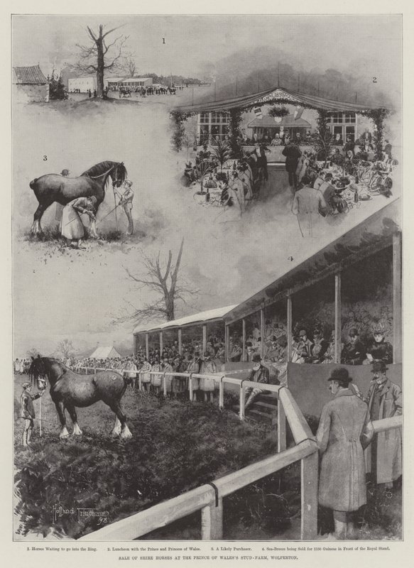 Sprzedaż koni Shire w stadninie księcia Walii w Wolferton autorstwa Joseph Holland Tringham