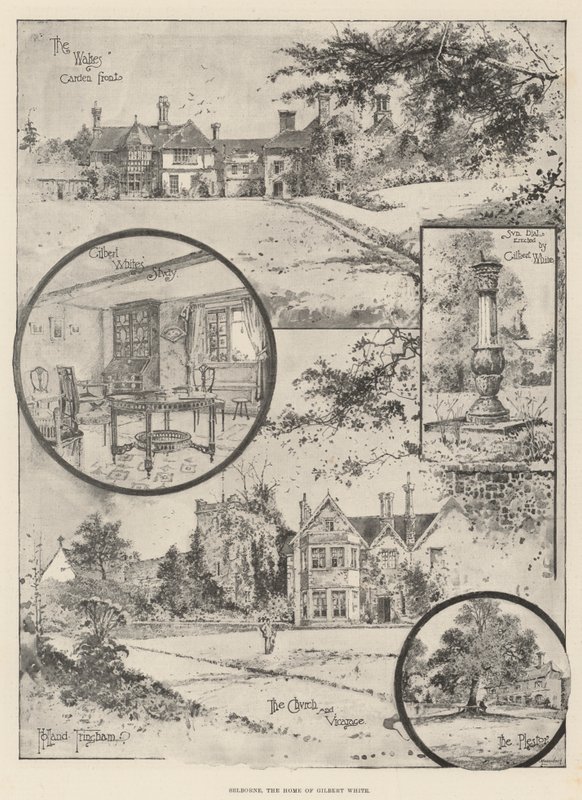 Selborne, dom Gilberta White
