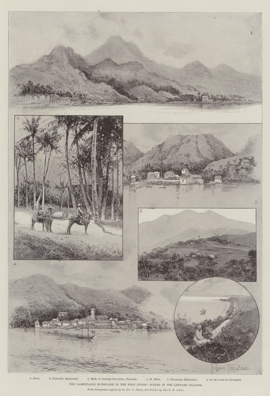 Opłakany w skutkach huragan w Indiach Zachodnich, Sceny z Wysp Zawietrznych autorstwa Joseph Holland Tringham