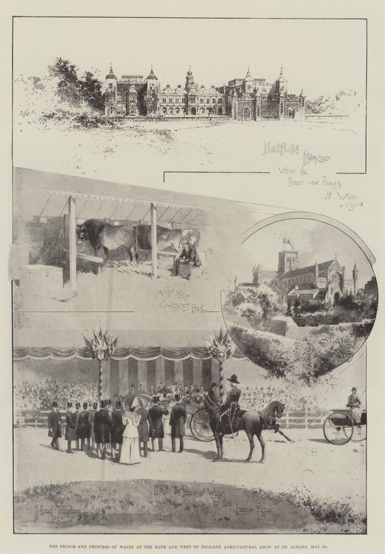 Książę i księżna Walii na wystawie rolniczej Bath i Zachodniej Anglii w St Albans, 29 maja autorstwa Joseph Holland Tringham