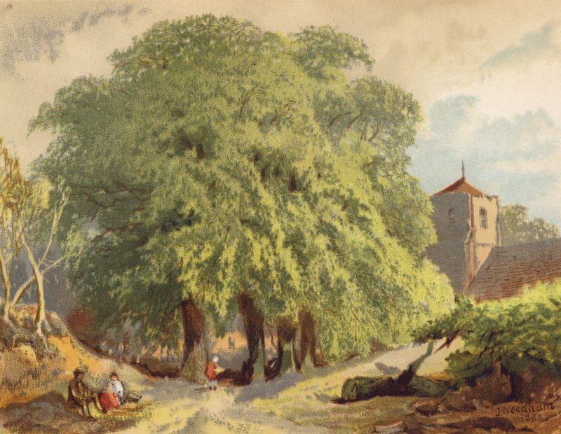Scena wiejska, limonki (kolorowa litografia) autorstwa Joseph Needham