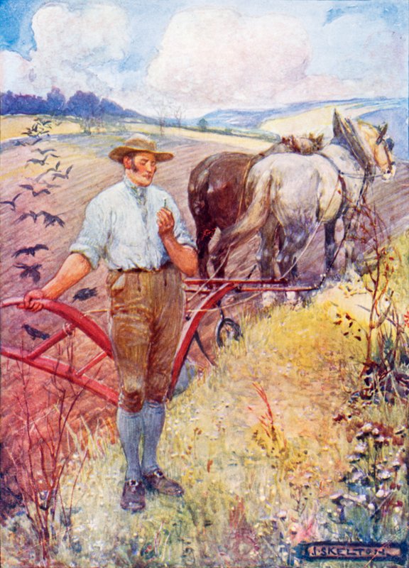Do górskiej stokrotki Roberta Burnsa autorstwa Joseph Ratcliffe Skelton