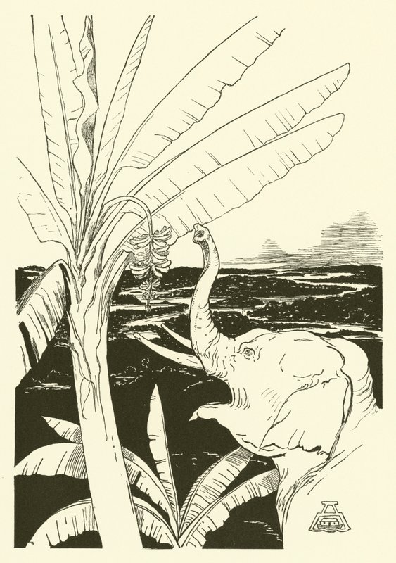 Dziecko słonia ciągnie banany (grawerunek) autorstwa Joseph Rudyard (after) Kipling