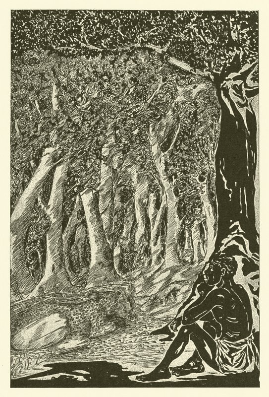 Lampart i Etiopczyk (rycina) autorstwa Joseph Rudyard (after) Kipling